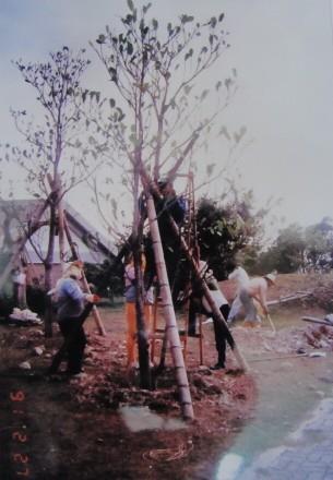 本處行政中心佈告欄旁草皮區施工中(1990)