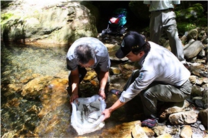 雪霸國家公園管理處陳茂春處長（左方）與武陵站廖林彥主任（右方）共同送櫻花鉤吻鮭返回歷史棲地