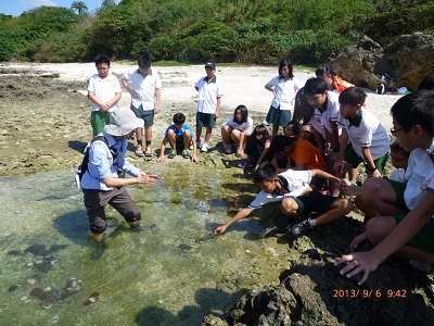 ”潮”向海邊躲貓貓!—潮間帶生物探索