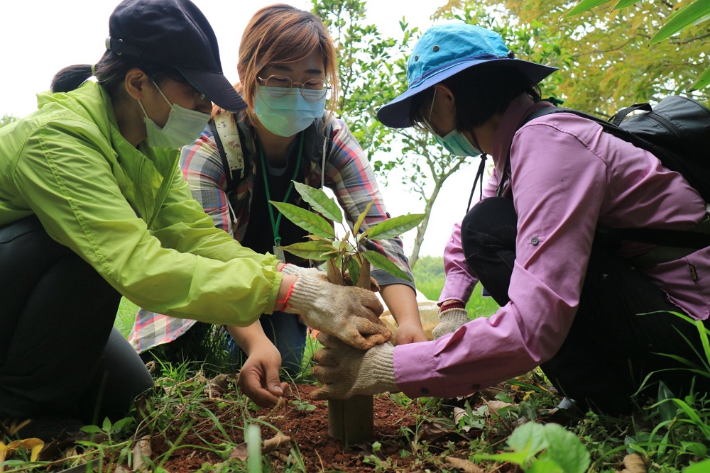 식수 행사를