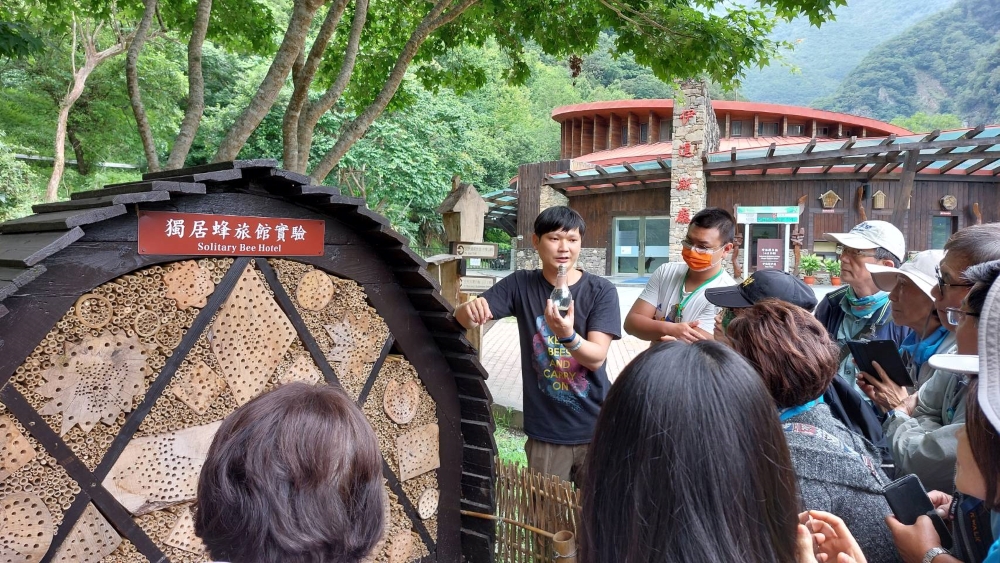 拜訪布洛灣管理站，參觀獨居蜂旅館