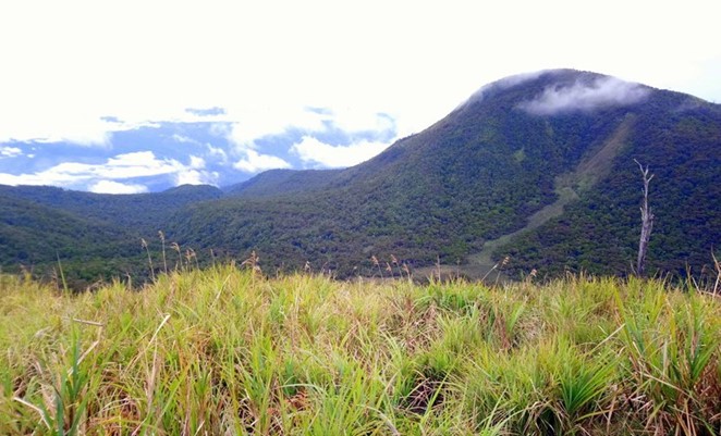 神聖的加拉通甘山，位於菲律賓加拉通甘山自然公園。該保護區與Menuvù／Manobo和Talaandig族12個原住民文化社區的領域範圍重疊。保護區的管理計畫及管理實踐為此做出修正，以尊重這些與「保護區」範圍重疊的「原住民族與社區保育區」（當中已有兩個被列入由UNEP-WCMC維護的全球「ICCA登記名錄」（案例4）。© Ton Santiago/Dreamstime.com