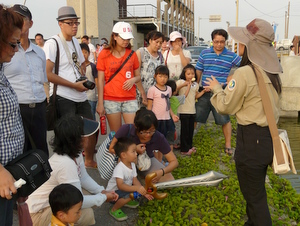 台江國家公園的「夕陽電影院」活動；民眾觀賞完影片後，由解說志工帶領進行潟湖生態導覽。(圖片由台江國家公園管理處提供)