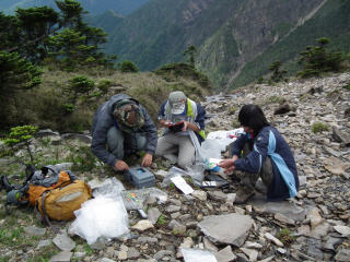 研究團隊在玉山群峰長期監測著山椒魚的活動範圍與數量。