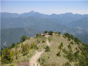 臺灣擁有雄偉壯觀且多變的高山地形