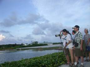 東沙潟湖有多種鳥類棲息於此，非常適合從事環境教育活動。