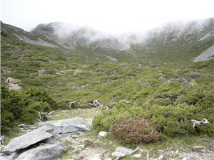 沿著圈谷地形的碎石陡坡攀升，就能接近雪山 之巔 