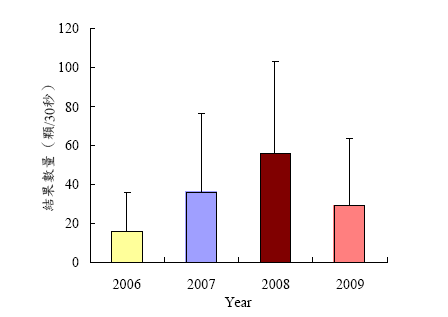 大分地區青剛櫟的結果統計量以2008年最多