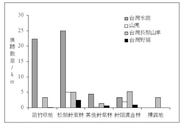 臺灣水鹿較常出現於松類針葉林中