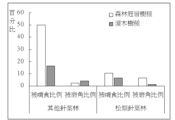 森林冠層的樹種被臺灣水鹿啃食情況較灌木樹種為嚴重