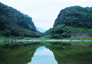 蓮花池