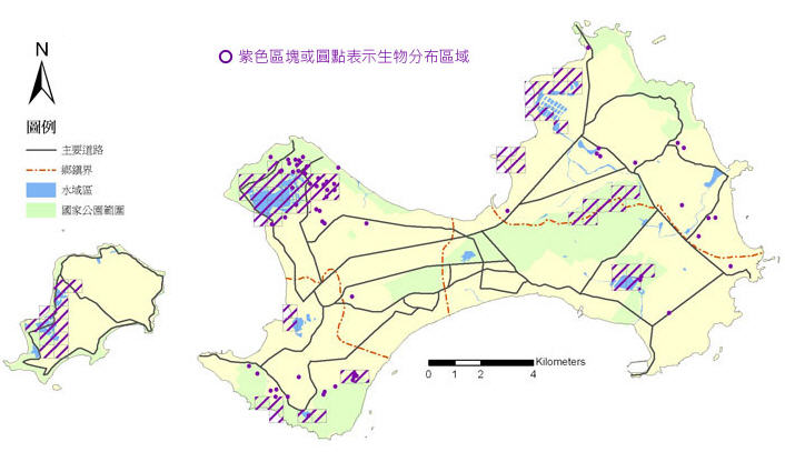 金門地區戴 勝分布圖