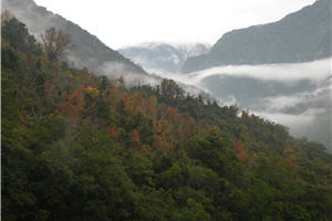 往瓦拉米路上的山景