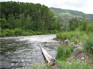 普洛佛河(Provo River)採用生態工程進行河川復育