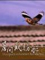 《簷間戴勝飛 (DVD)》封面