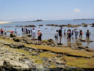 推動生態旅遊體驗南方四島之美(海管處提供)