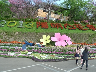 陽明山花季熱鬧登場