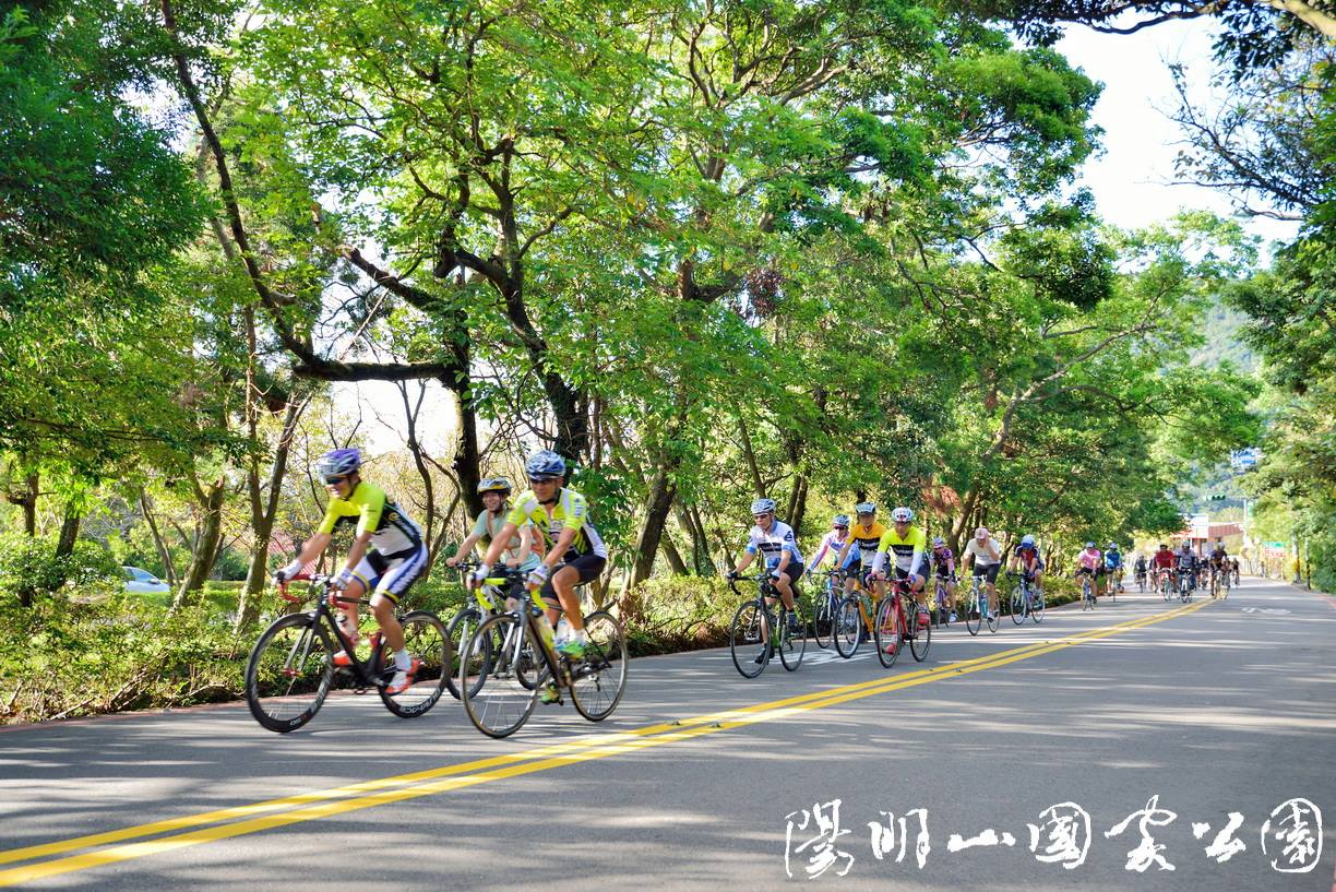 秋天正是適合騎乘單車的季節