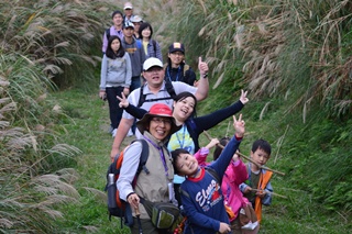 「古道秋芒之旅」在解說員的引領下，認識陽明山植被演替、芒草生態