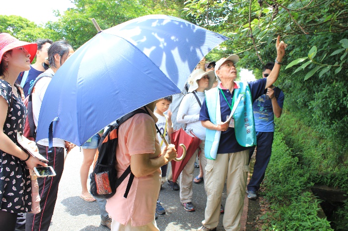 「大屯樂活賞蝶趣」導覽解說