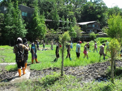 These activities integrated with environmental education can influence students to develop concerns about nature and ecology and protect the environment