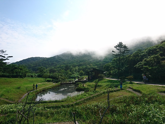 春末時節的二子坪翠綠一片，充滿生命力