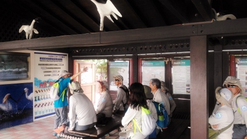 volunteers from all administration offices were grouped to visit Black-faced Spoonbill (Platalea minor) Watching Pavilion