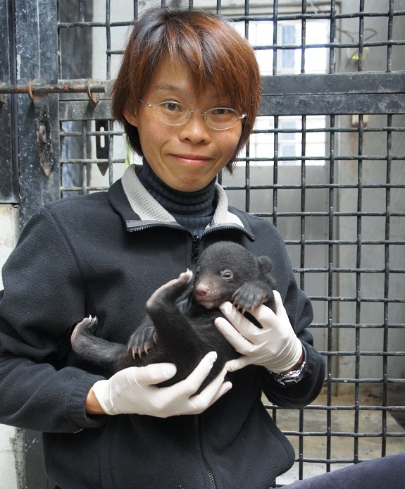 professor Mei-Hsiu Hwang dedicated herself into Formosan  Black Bears' conservation 