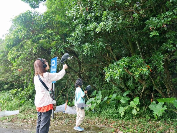  Students used cicada recordings equipments to listen and distinguish the difference