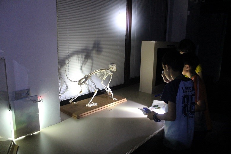 Shoushan National Park Headquarters collaborated with the National Pingtung University of Science and Technology for the first time to bring precious specimens, such as animal droppings and bones