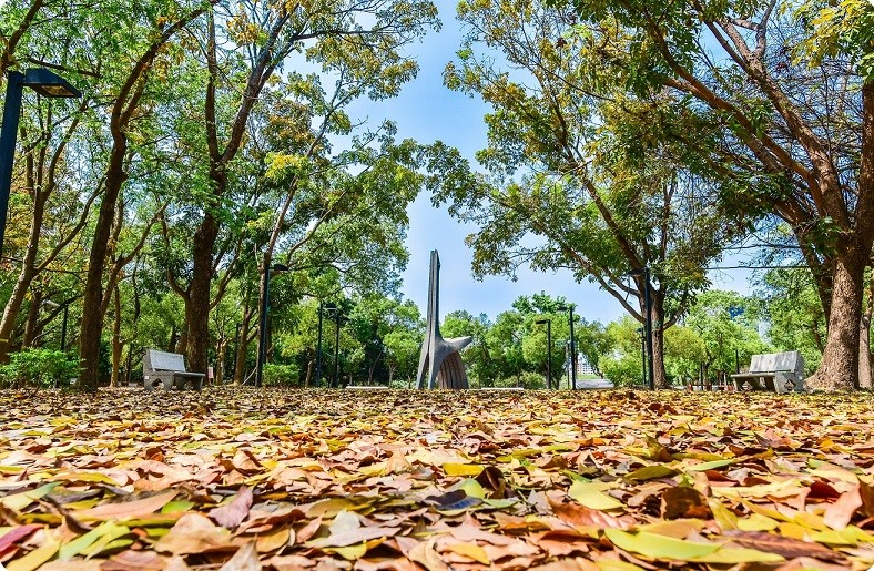 金雞日晷鎮駐在公園一期入口處明顯的位置， 是高都的美麗標誌  (高雄都會公園管理站提供，錢樺誠攝)