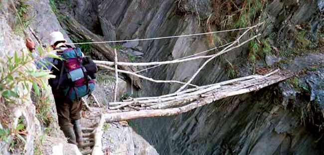 In love with wild field research, Wang always takes students into the deep mountains and remote watersides