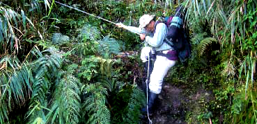 Wild field research is not an easy task; one has to overcome many difficulties. /Photo provided by Meihsiu Hwang