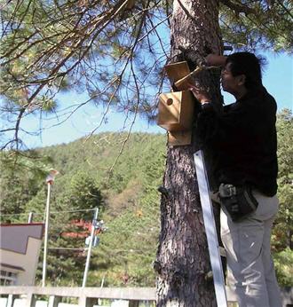 The picture shows that Wang tried to nail the nest boxes on the tree.