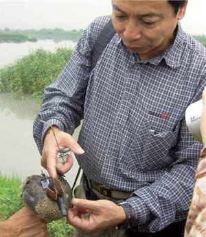 To Prof. Wang, as long as he can be of help to Taiwan's ecological conservation, he will never quit