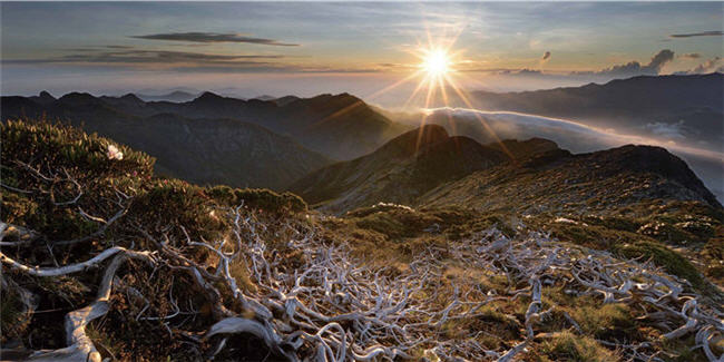 Excellent Award in“ Eyes on National Parks” photography contest