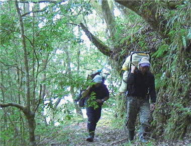 In the picture is Dafen Area in Yushan National Park.