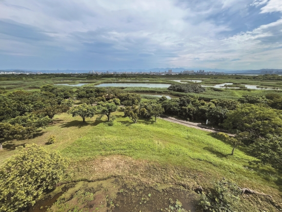 濕地種子營學員曾探訪的關渡自然公園，獲聯合國收
錄為經典濕地教育中心案例／關渡自然公園 提供