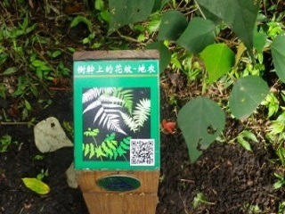 Hand drawn icons and QR Codes on descriptionpodiums (Provided by Yangmingshan National Park)