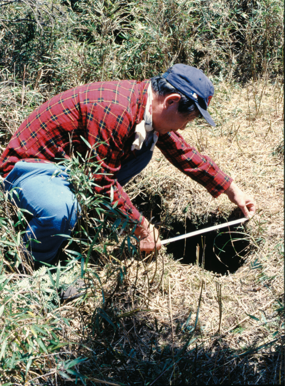 Yang was measuring the wooden postholes with a beautiful look made in the Qing dynasty in Shuiwei, Chichi.