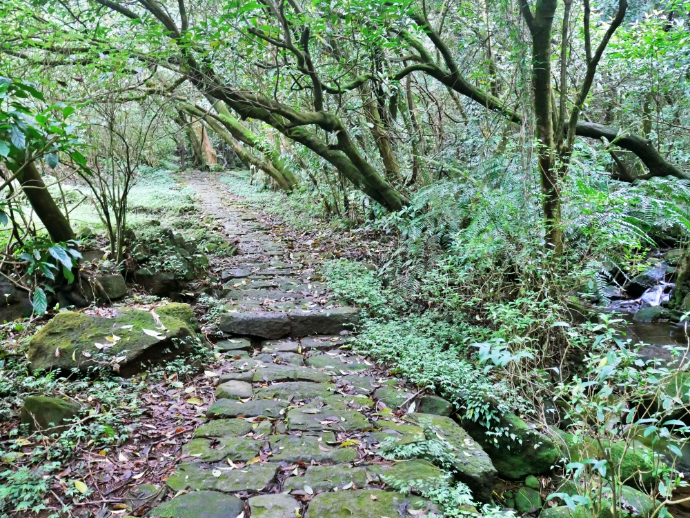 The Jinbaoli Trail also known as the Yulu Historical Trail, it is the first historical trail restored by the Yangmingshan National Park Headquarters,two pictures.