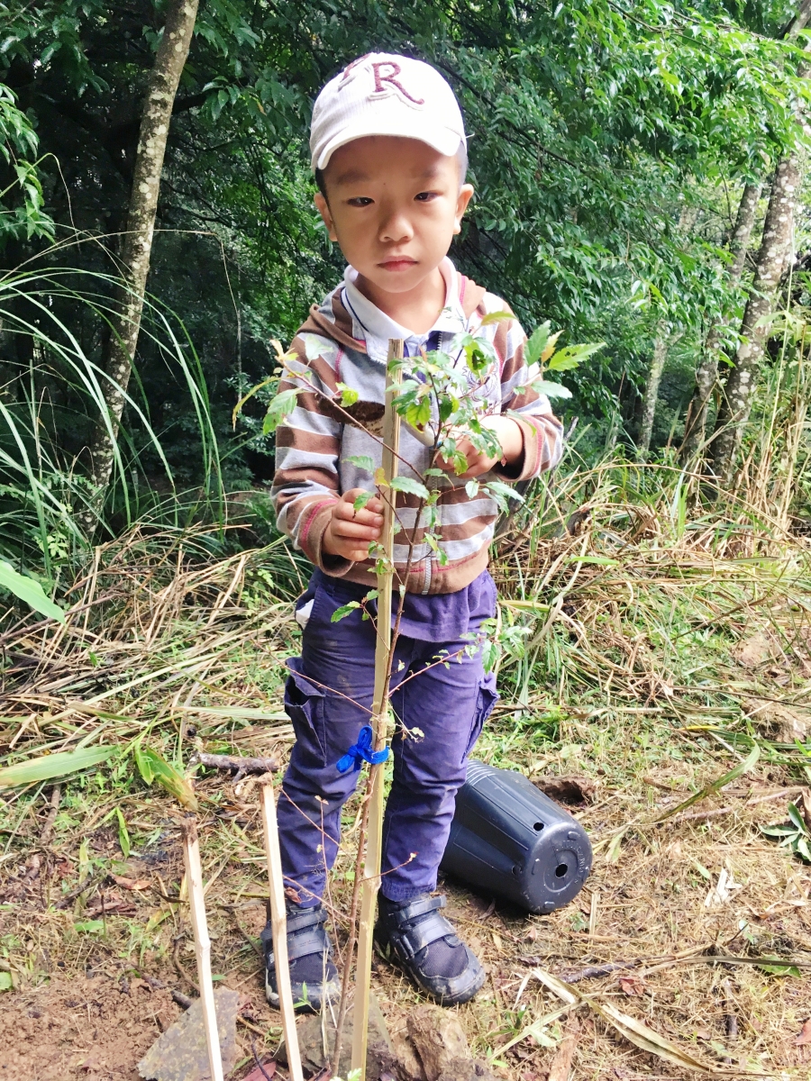 小熊貓把竹竿打進土裡，用繩子將蘋果樹和竹竿繫在一起後，認真看著自己的蘋果樹