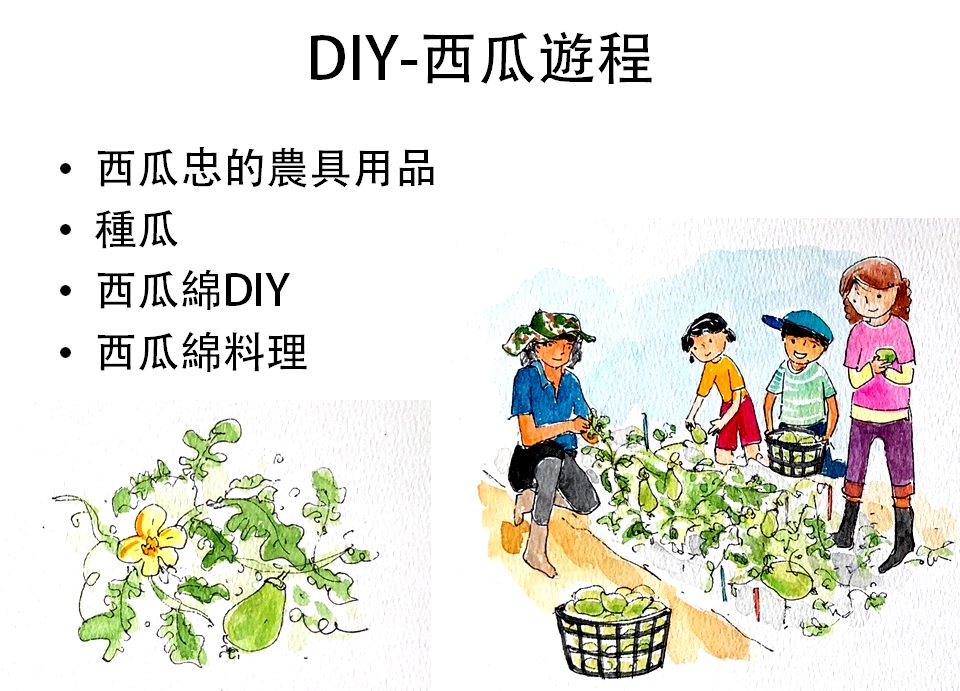 城西社區農業種植以西瓜為最大宗，歡迎遊客前來體驗種瓜及DIY西瓜綿遊程(城西社區發展協會提供) 