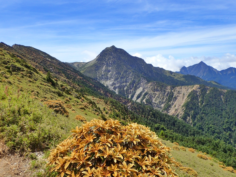 南湖大山與南湖杜鵑