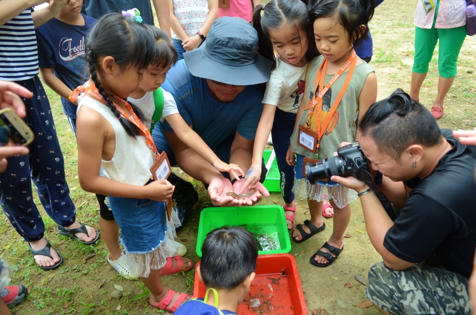 participants went down to the stream to see what had been collected in the traps.