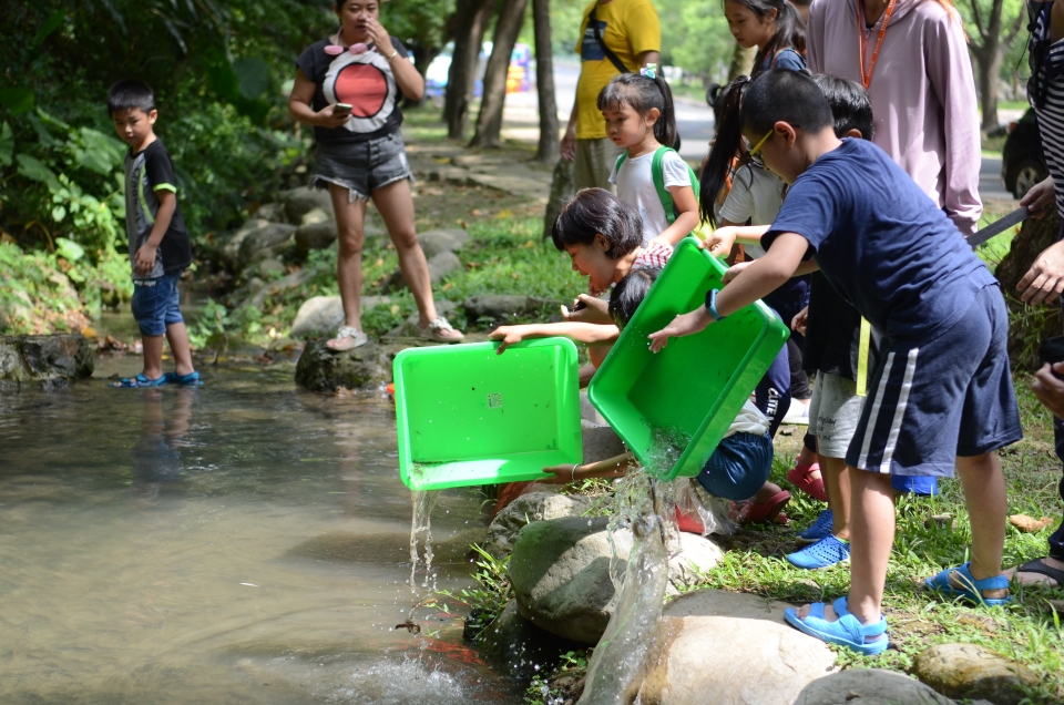 All the creatures caught during this activity were returned to their natural habitats after measuring and recording.
