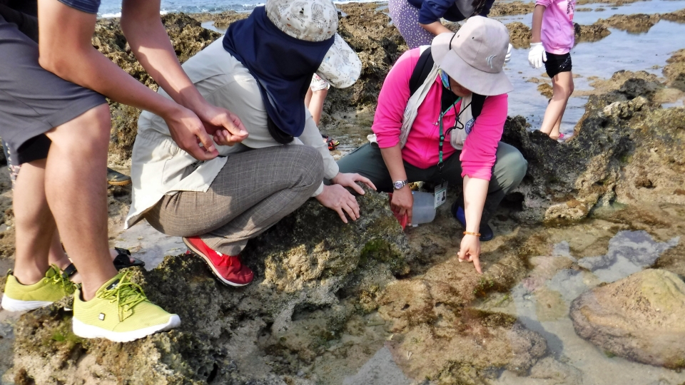 戶外課程以實地走訪，認識潮間帶生態與海洋生物(墾丁國家公園管理處提供)
