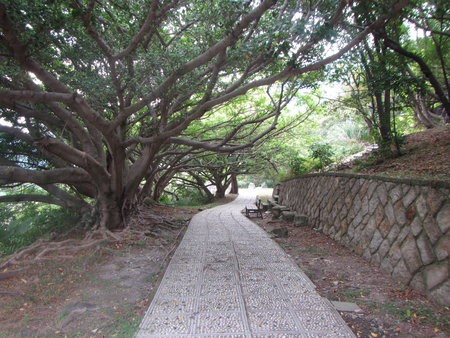 硫磺谷步道
(陽明山國家公園管理處提供)