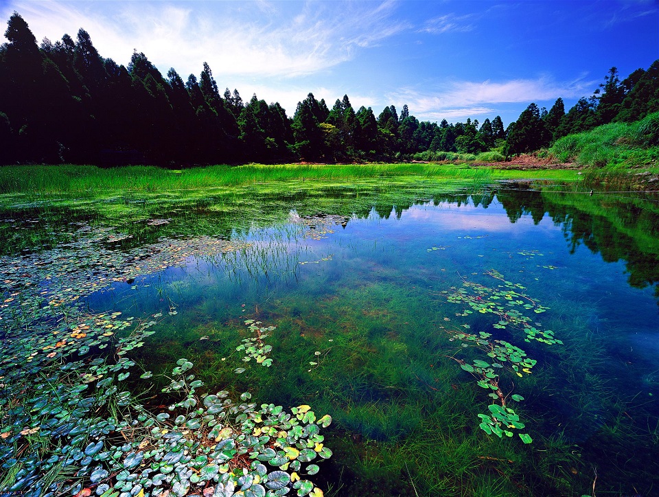 夢幻湖能提供大眾靜心聆聽大自然的體驗(陽明山國家公園管理處提供)