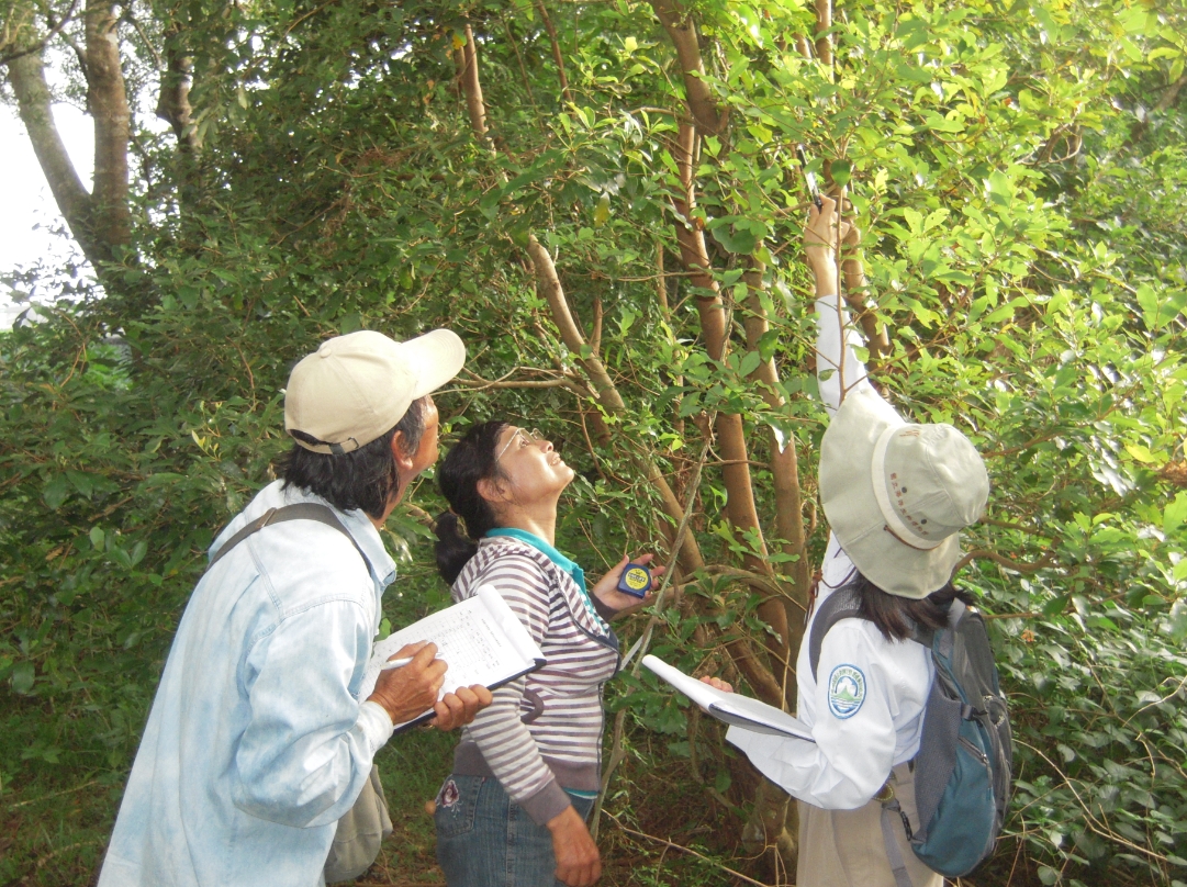 Community commentators study the habitat survey of butterfly larvae and work together to love and protect butterflies.
